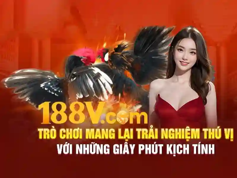 Ảnh chứng minh danh tính khi xác thực