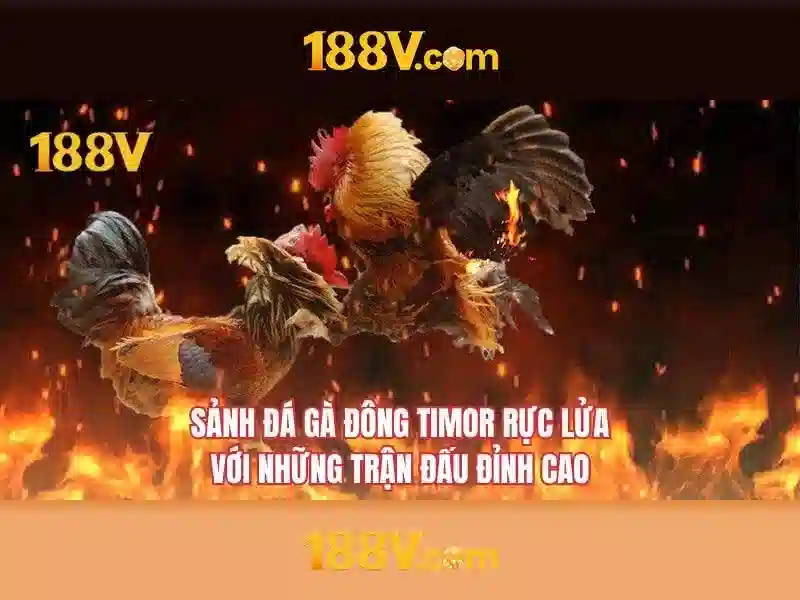 tại 188v: Trải nghiệm và đánh giá tổng quan