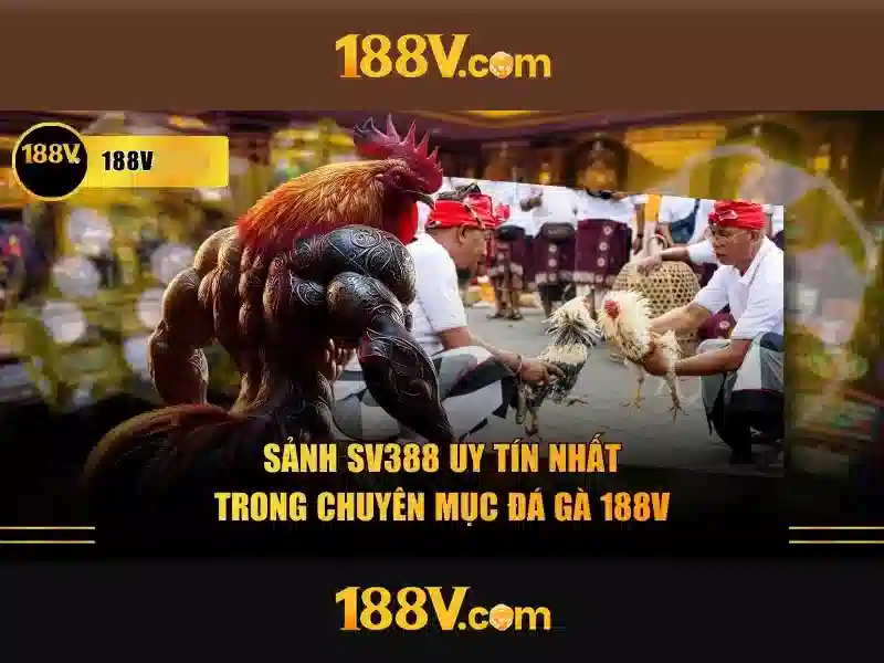 Khám phá 188v: một khởi đầu số mới