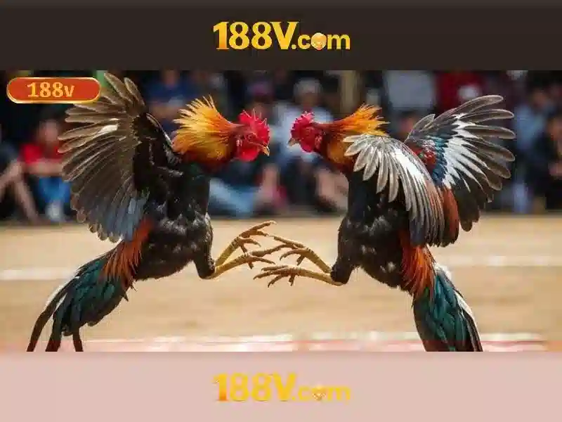 188v tài app - Kết nối trải nghiệm số đỉnh cao