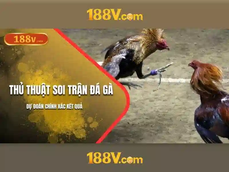 Ứng dụng của 188v trong cuộc sống hàng ngày