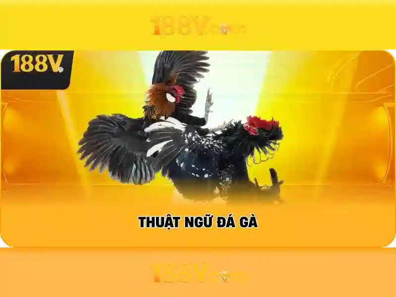Cân bằng giữa nguồn lực và rủi ro cho 188V