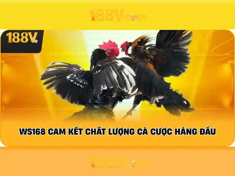Khái niệm 188v