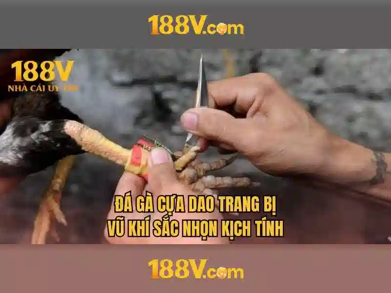 game 188v – Trải nghiệm và đánh giá toàn diện