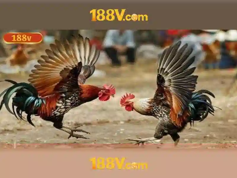 Nguồn gốc và sứ mệnh của 188v tải