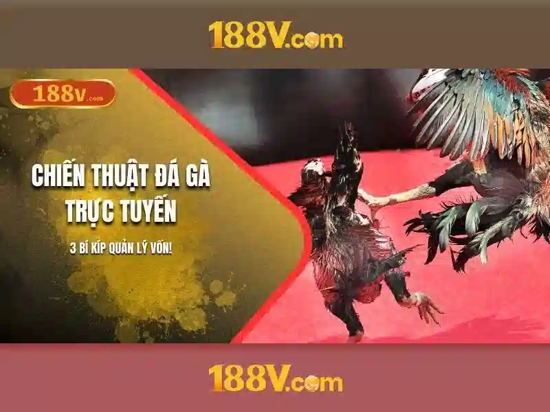 Khám phá 188v: một khái niệm đằng sau công nghệ và nghệ thuật