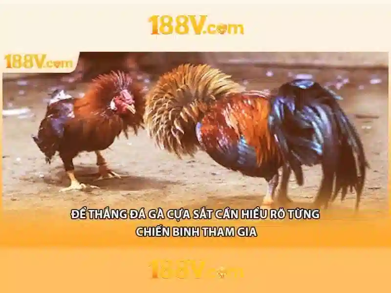 Review 188v: Đánh giá nền tảng 188v và eSports