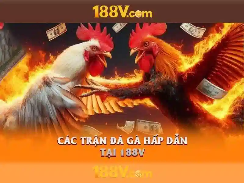 188v: một khái niệm cho công nghệ và văn hóa số