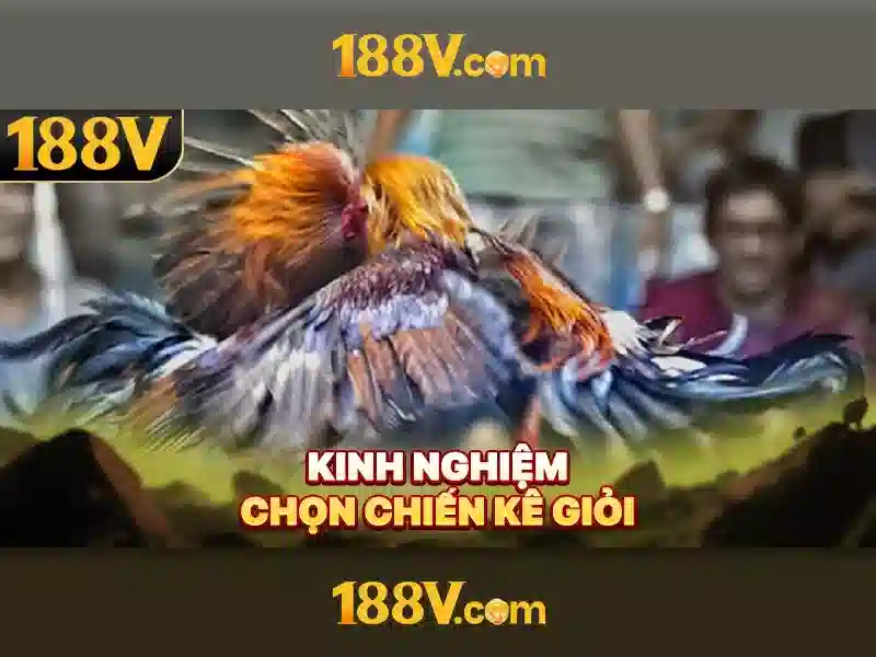 188v là gì và những khía cạnh liên quan