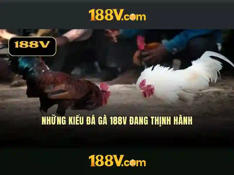 Nguồn gốc và ý nghĩa\n