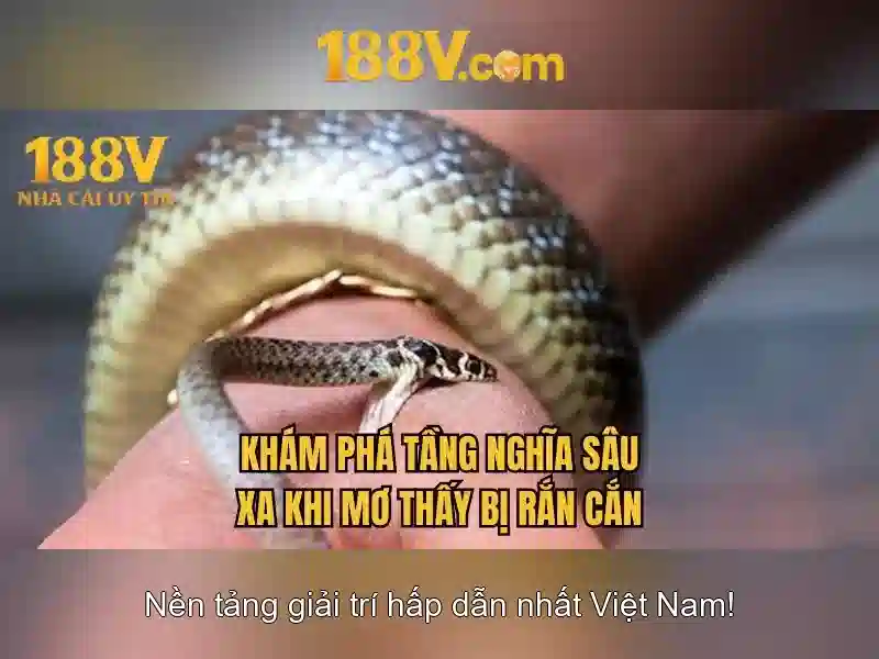 188v – một khái niệm mới cho thời số