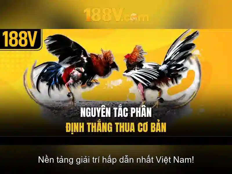 Nguồn gốc và ứng dụng