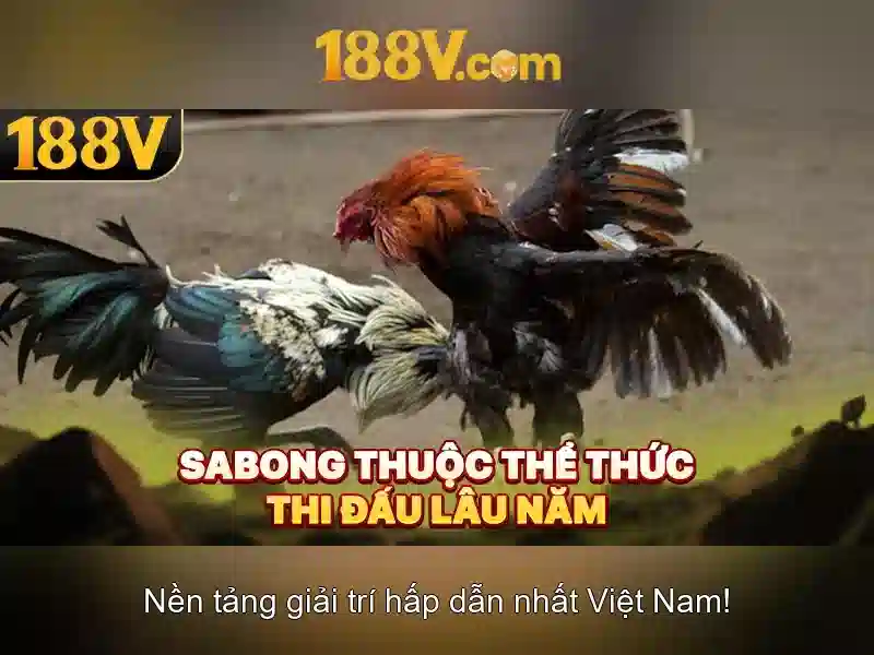 Cấu trúc và cảm nhận