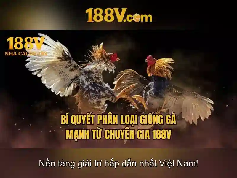 Ứng dụng tiềm năng trong công nghệ\n