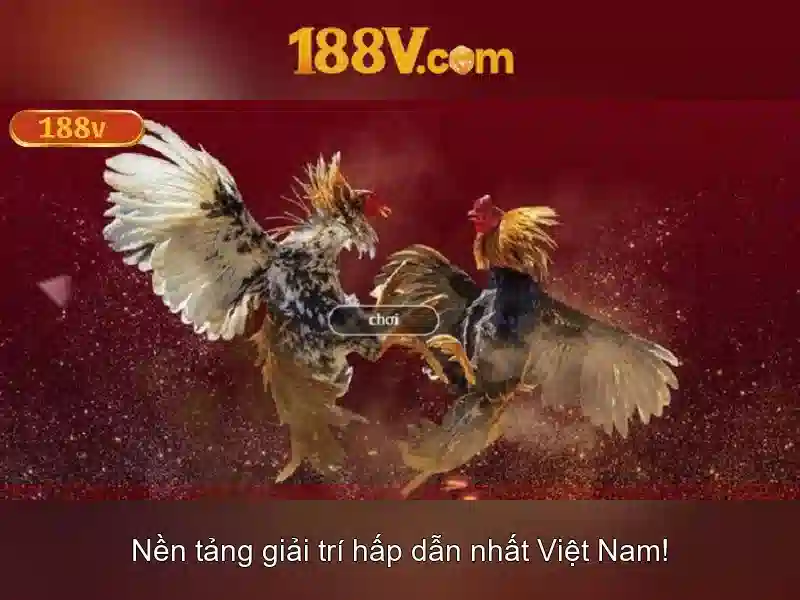 'Nguồn gốc và ý nghĩa'