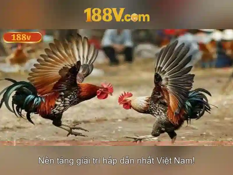 Khai niem 188V