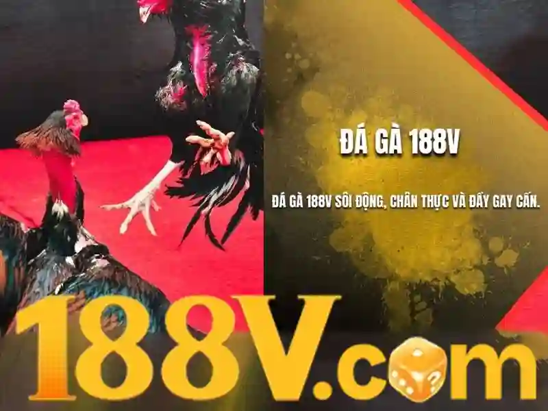 188v .com – Tổng quan chủ đề và giá trị cốt lõi