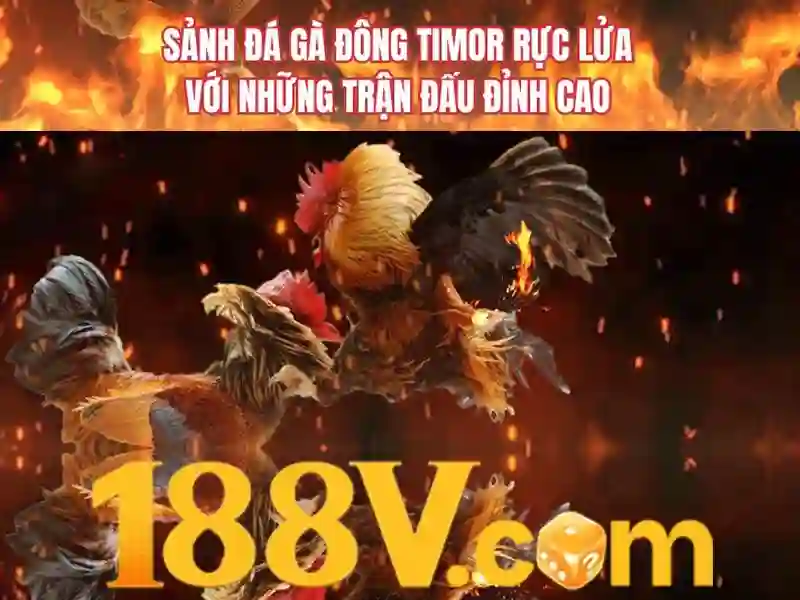 188v: hành trình giữa thực tại và số hóa
